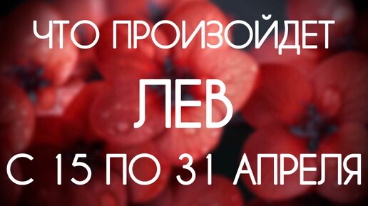 Лев ♌️ Таро-прогноз на период с 15 по 30 Апреля 2024