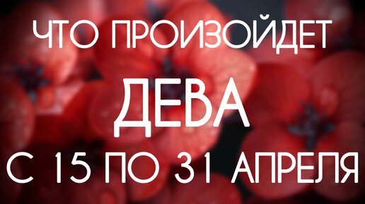 Дева ♍️ Каким будет период с 15 по 30 Апреля 2024? Таро-прогноз