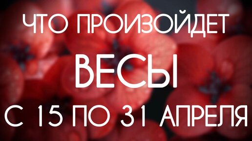 Весы ♎️ События периода с 15 по 30 Апреля 2024. Таро-прогноз