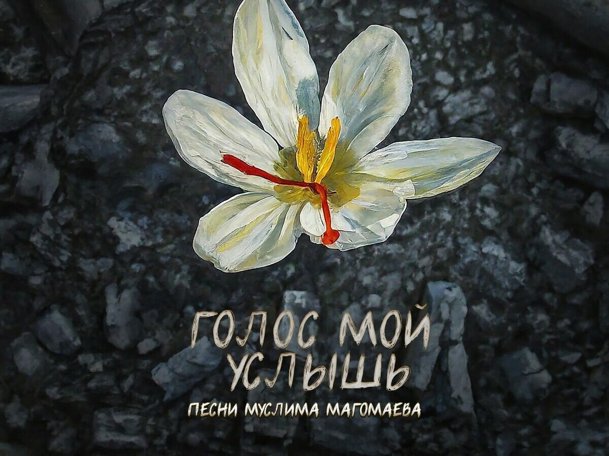 12 песен муслима магомаева голос мой услышь. 12 песен муслима магомаева голос мой услышь. 12 песен муслима магомаева голос мой услышь. 12 песен муслима магомаева голос мой услышь. Магомаев в молодости.