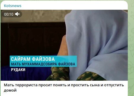    Фото: Скриншот Telegram/Kotsnews