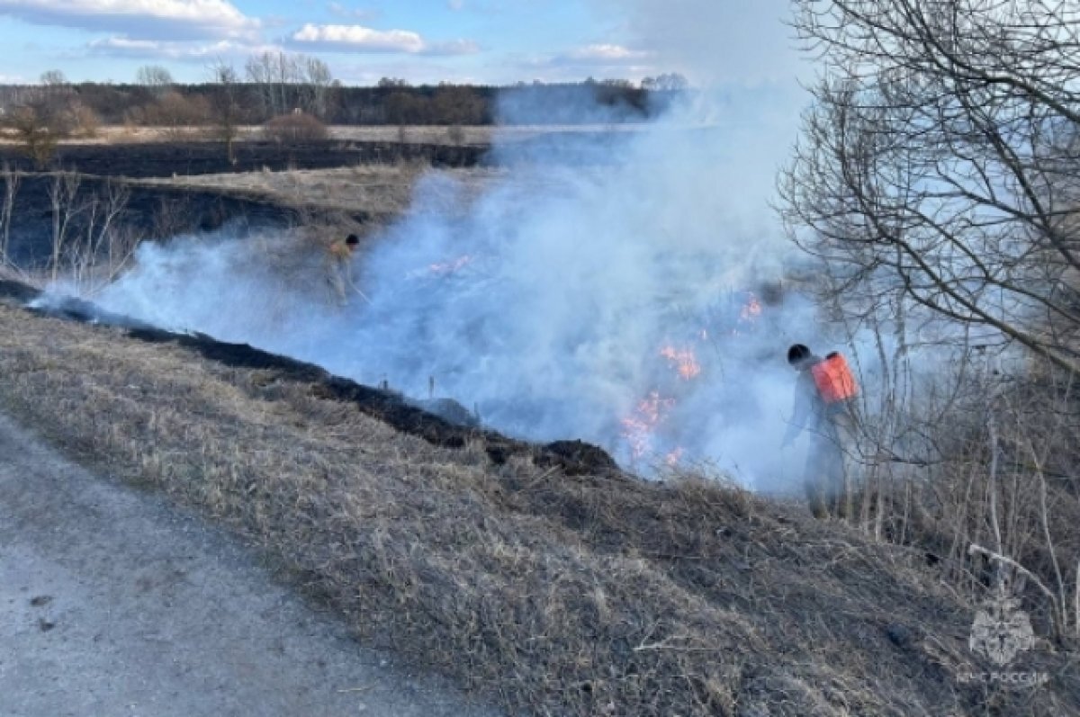    Не жгите траву!