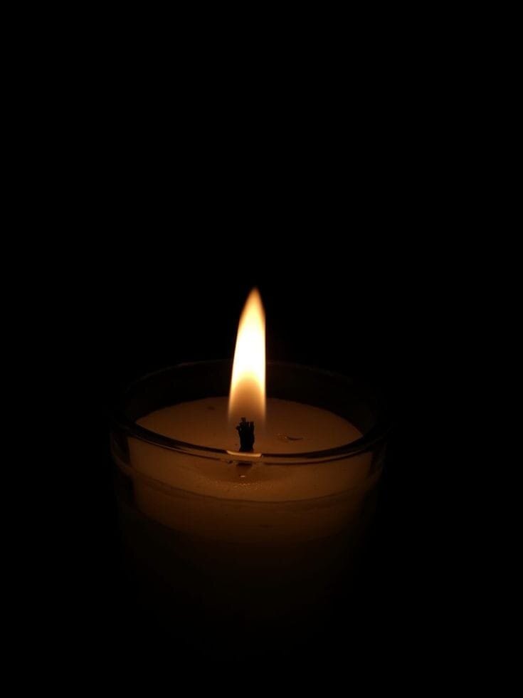 Изображение найдено в интернете. 