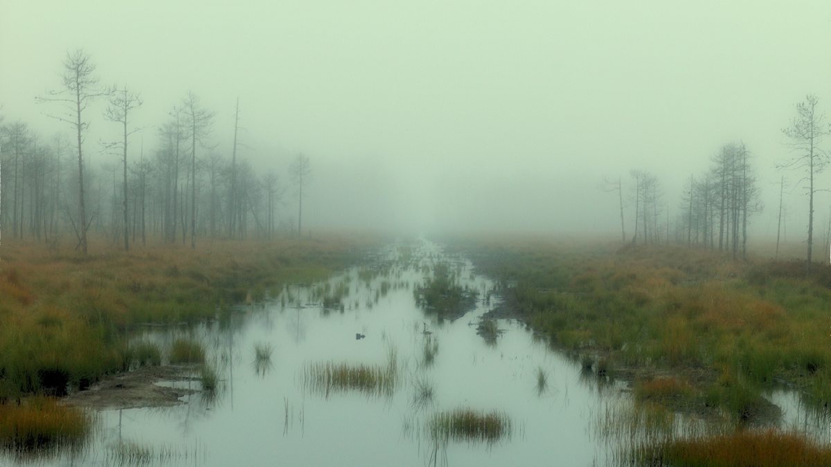 Пустынное, но только с точки зрения людей. Животному и растительному миру тут раздолье
