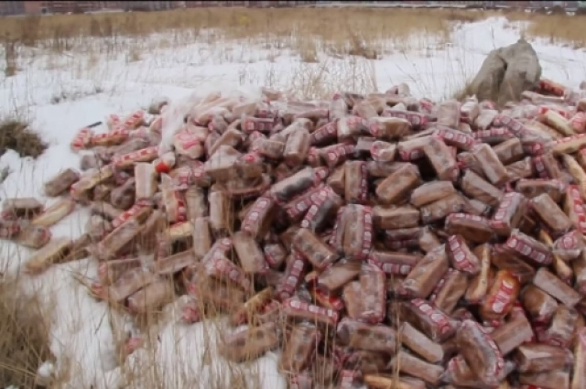    Гору буханок хлеба нашли на свалке среди строительных отходов в Волгограде