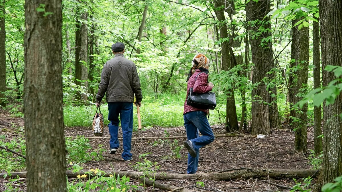     В Ижевске определили подрядные организации, которые в 2024 году будут благоустраивать два городских общественных пространства — Аллею счастья и лесополосу на улице Ворошилова. Об этом сообщил глава города Дмитрий Чистяков в программе «ПроГород» на телеканале «Удмуртия».