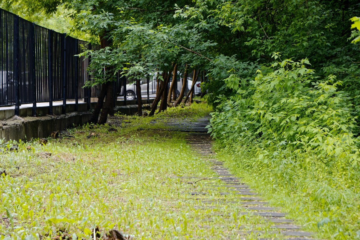 001. Начинаем свой путь с остатков подъездного пути к станции Очаково-2.