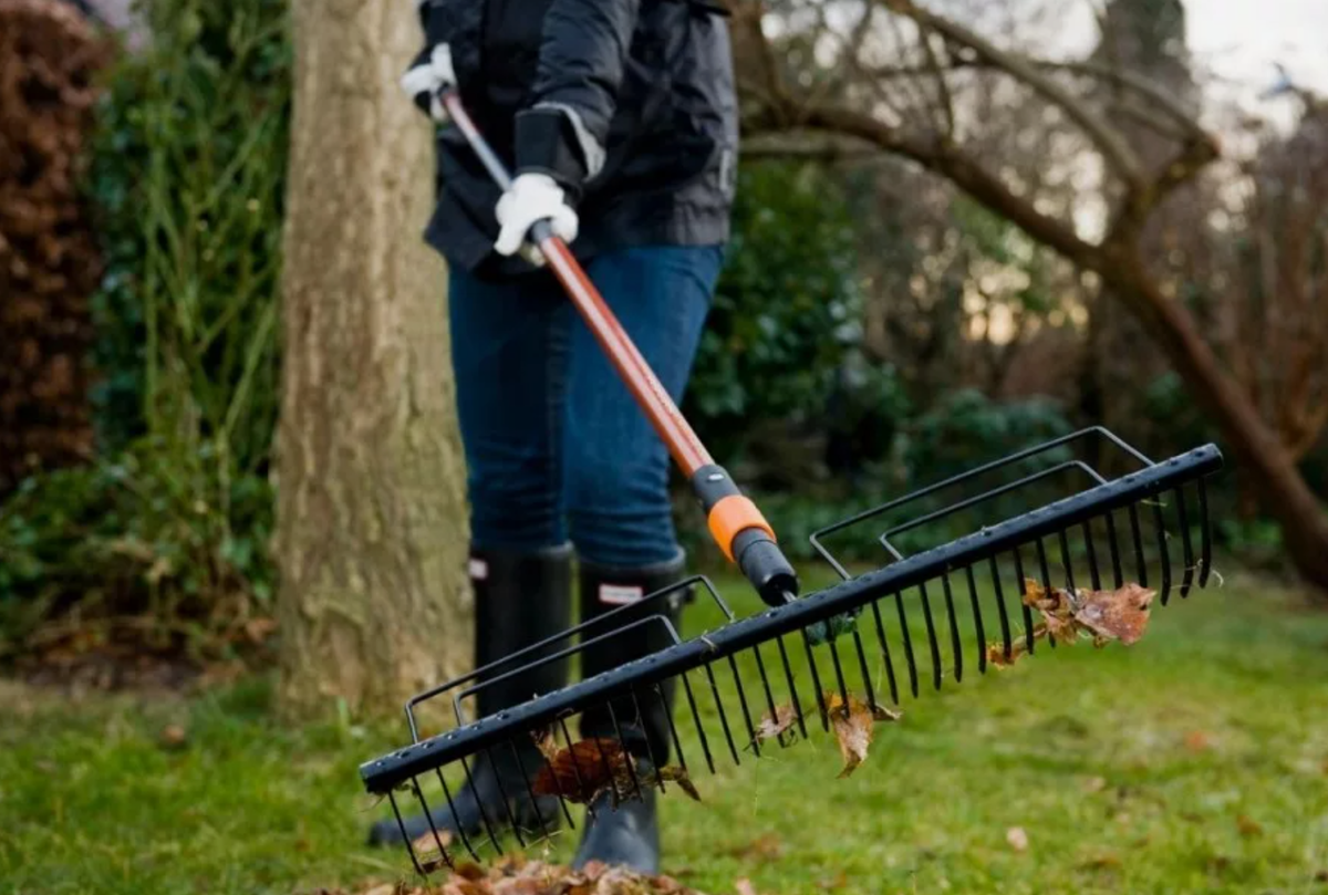 Первым делом в саду нужно убраться (источник фото: st-montaj.ru)