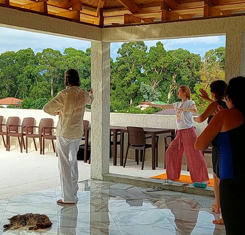 Занятия Цигун. Кот медитирует:)