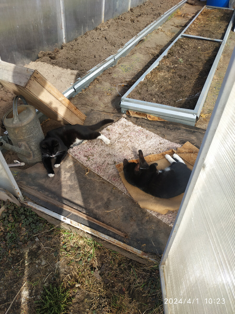 Мотя и Гера