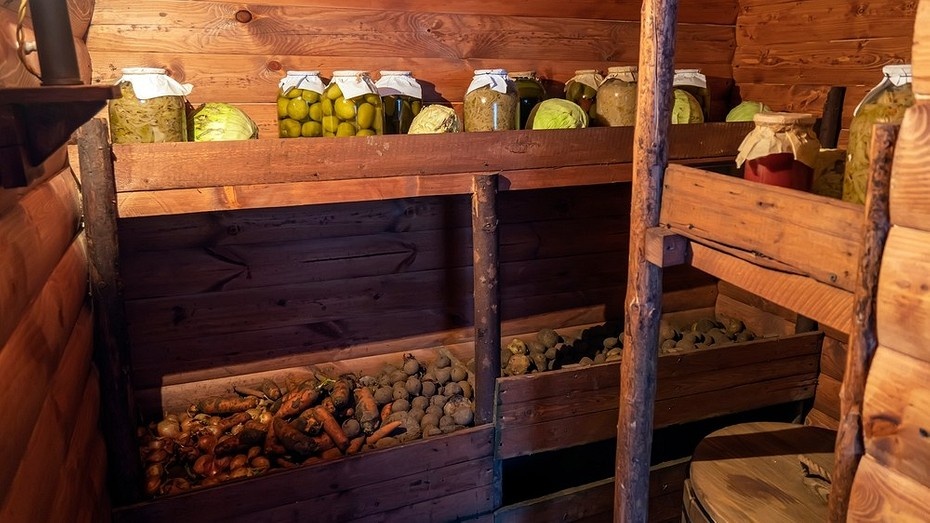 Как просушить погреб: 7 рабочих способов