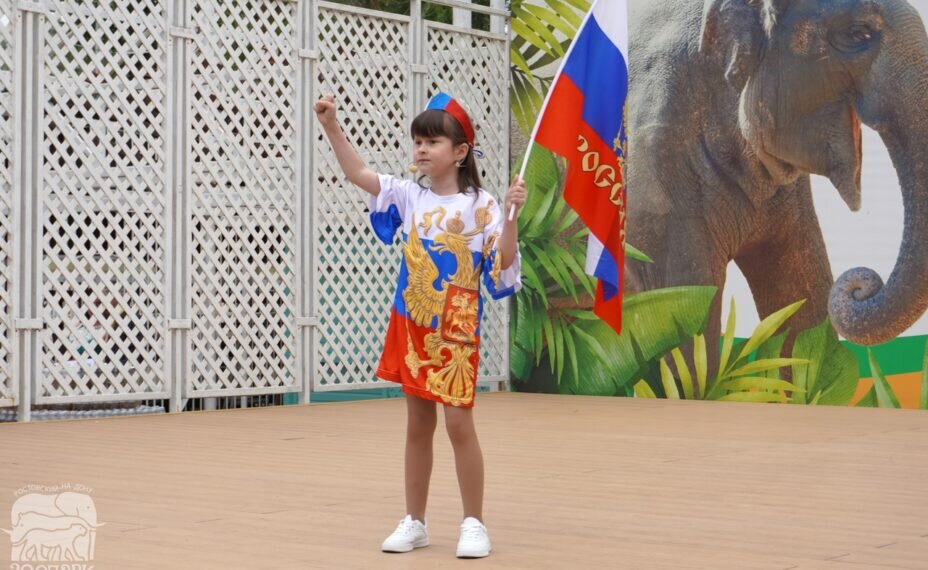 Всего на участие было подано 557 заявок в 24 номинациях