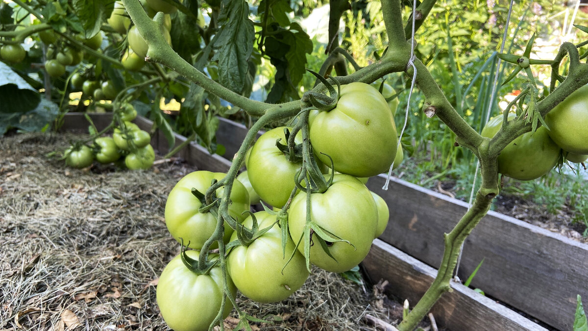 Фото сезон 2023