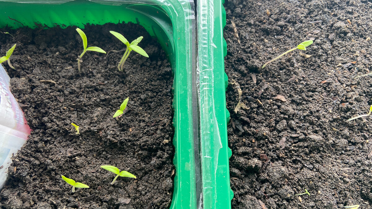 Сезон 2024, март