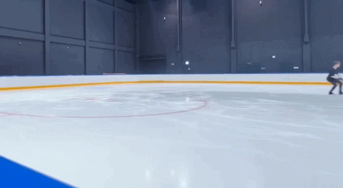 3Lz+3T