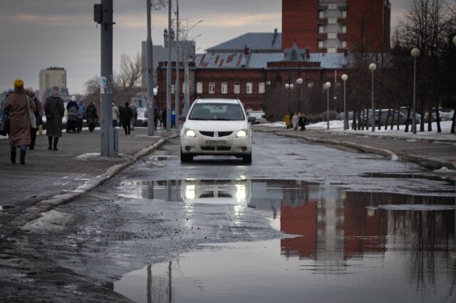    Фото:  АиФ/ Дмитрий Еланаков