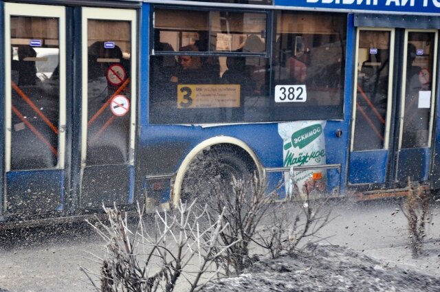    Фото:  АиФ/ Дмитрий Еланаков