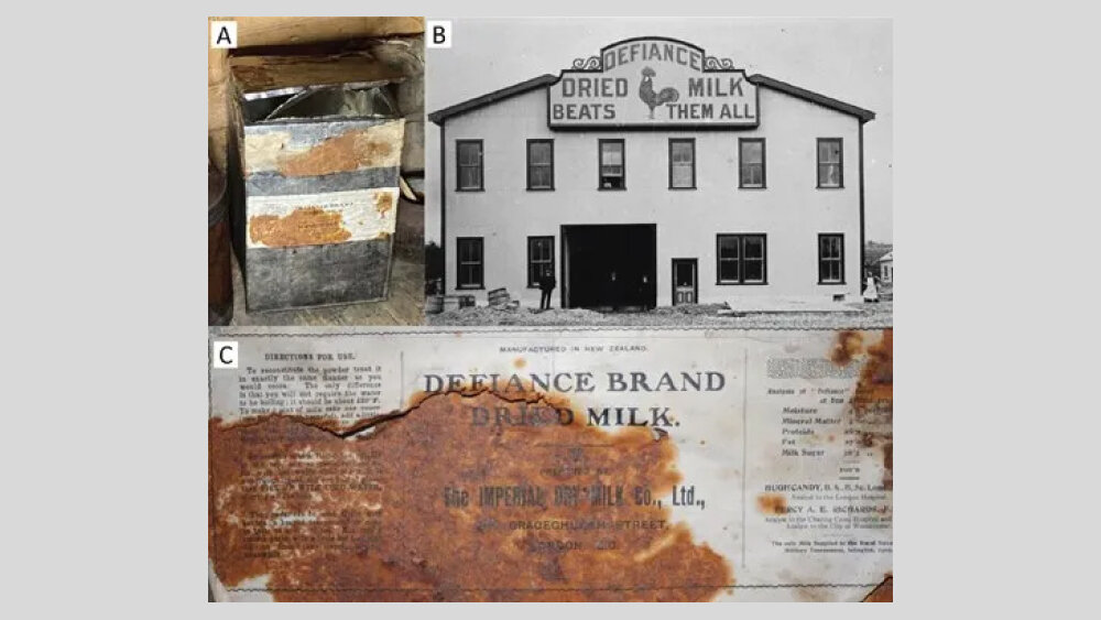     Фото: Massey University, Palmerston North, New Zealand