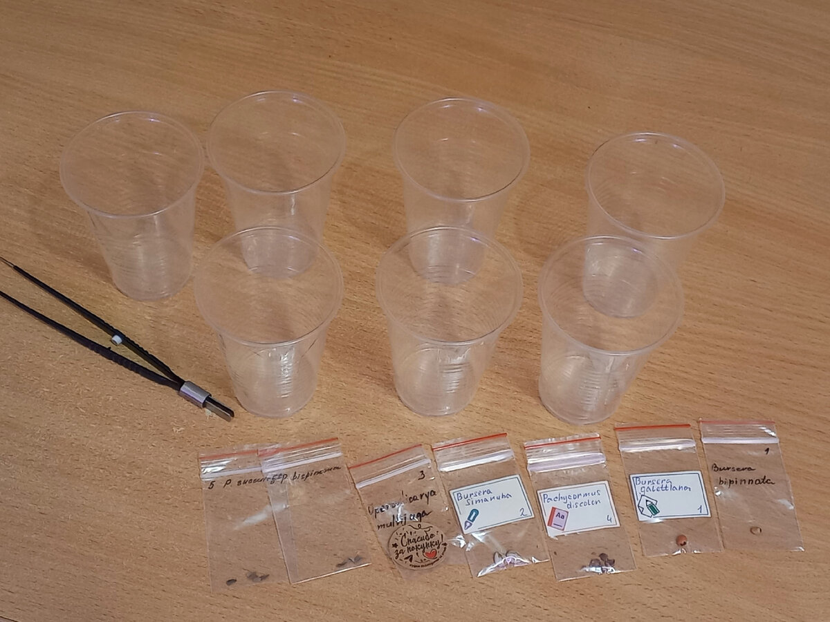 Долгожданная посевная!