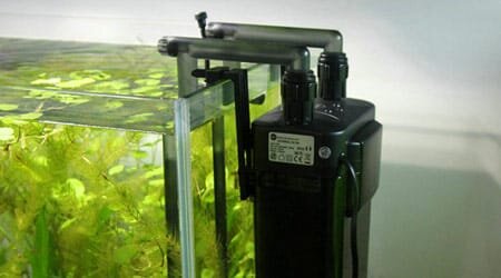 (Фото взято из Интернета)