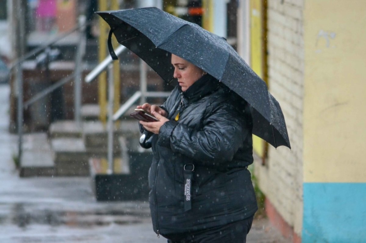    29 марта в Туле ожидается небольшой дождь и сильный ветер