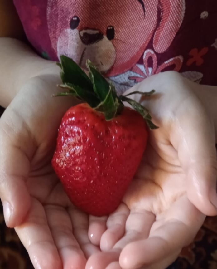 Фото автора.