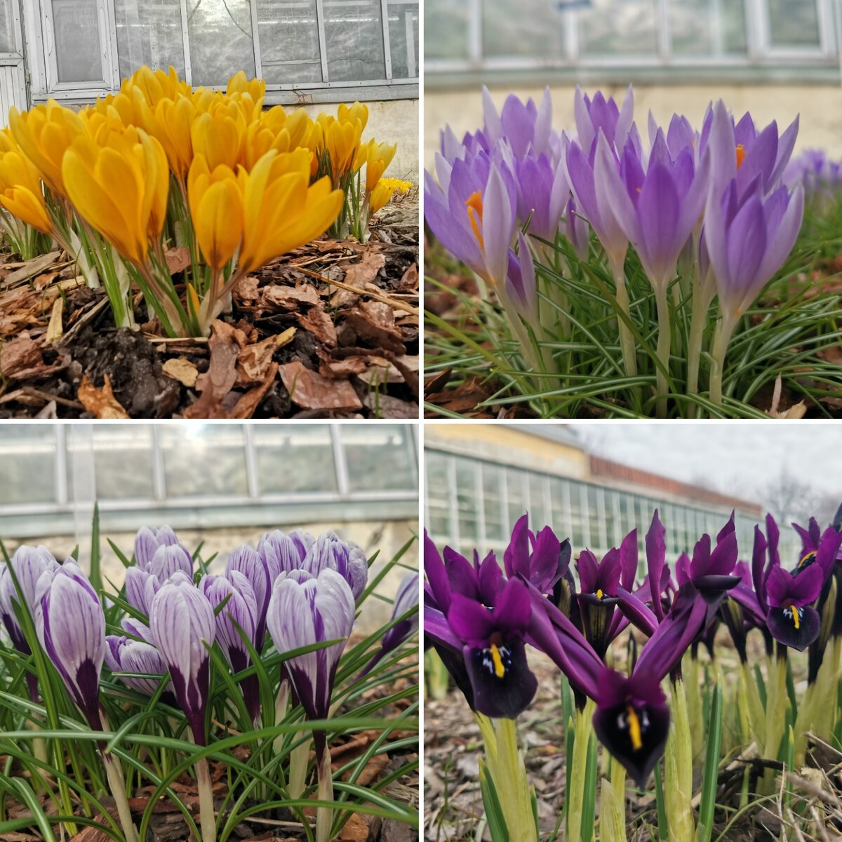 Фото автора канала