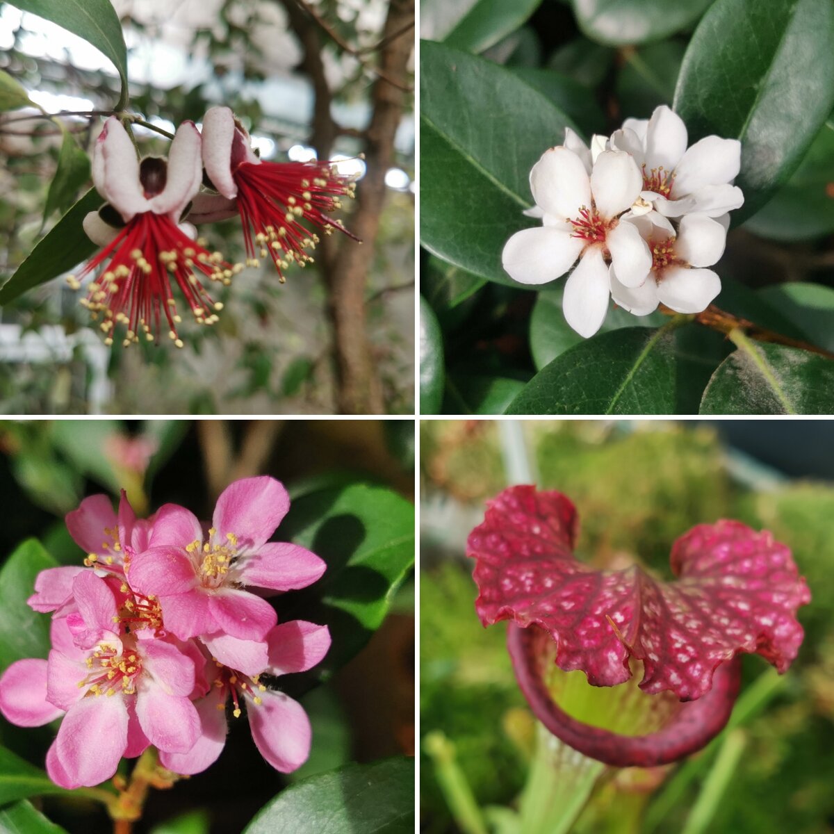 Фото автора канала 