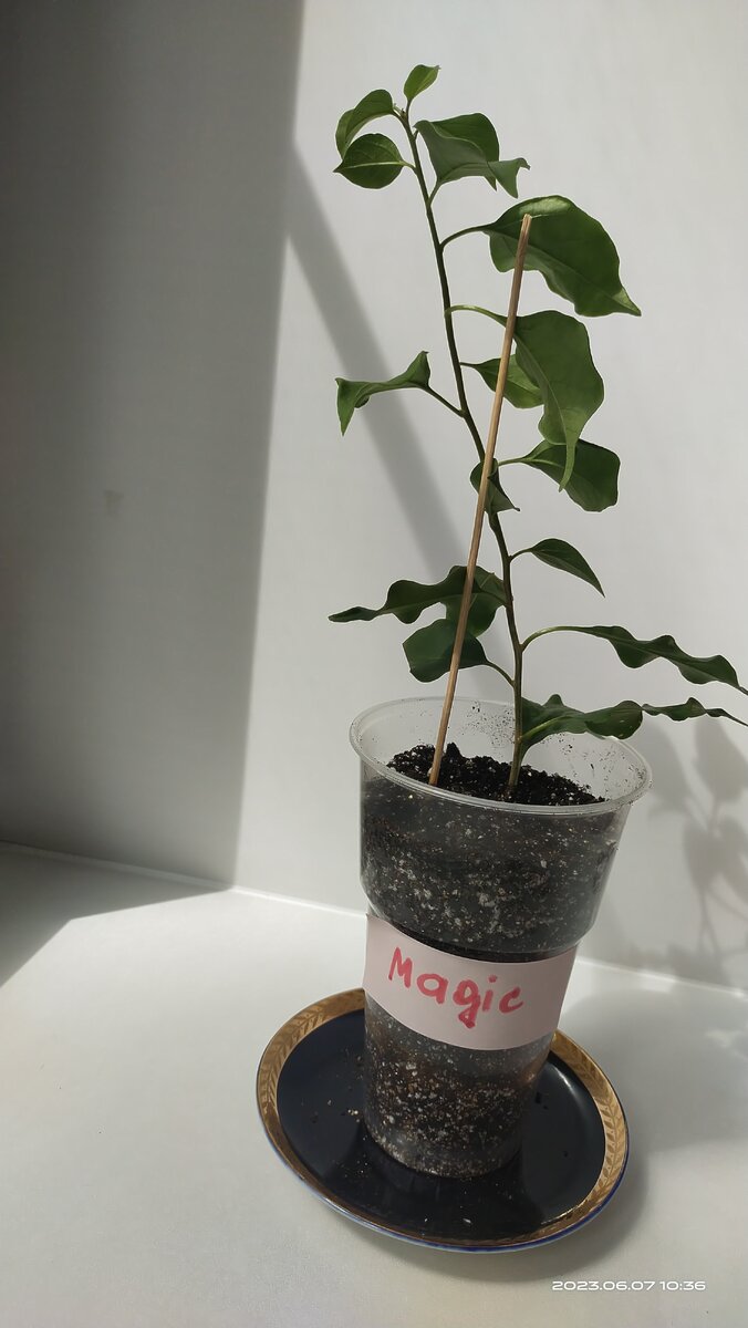 Фото от 7 июня 2023 года. 