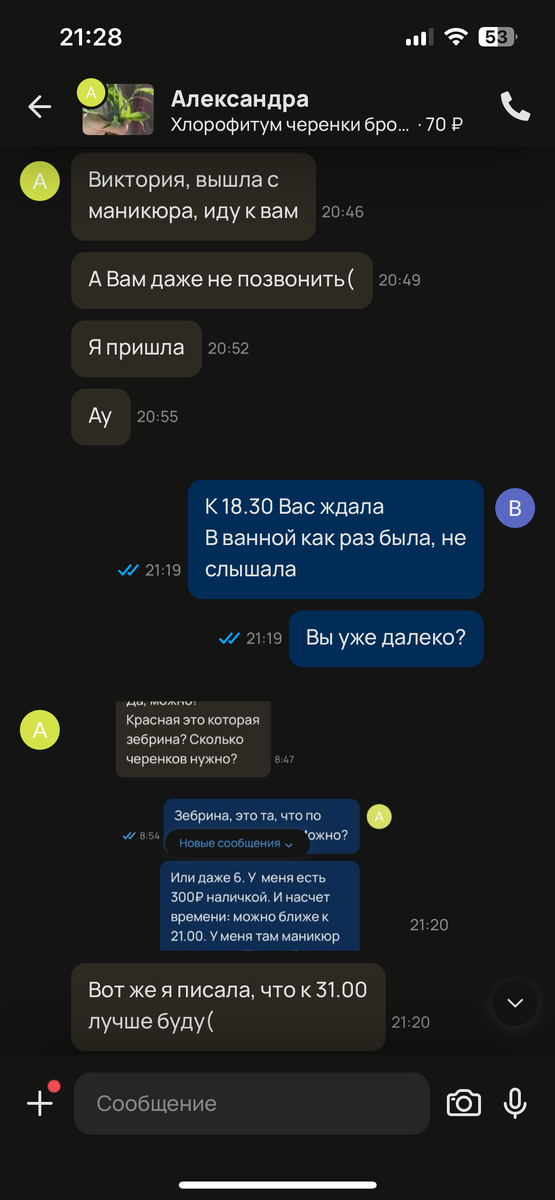Это фиаско