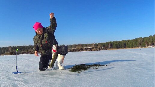 А что так можно было? МНОГО ЩУКИ НА ЖЕРЛИЦЫ Неделя на льду как один день Russian fishing