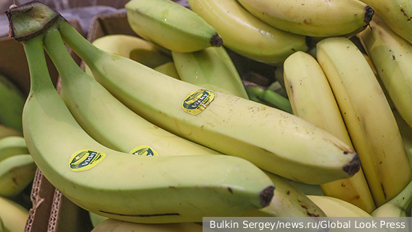     Фото: Bulkin Sergey/news.ru/Global Look Press   
 Текст: Алексей Дегтярев