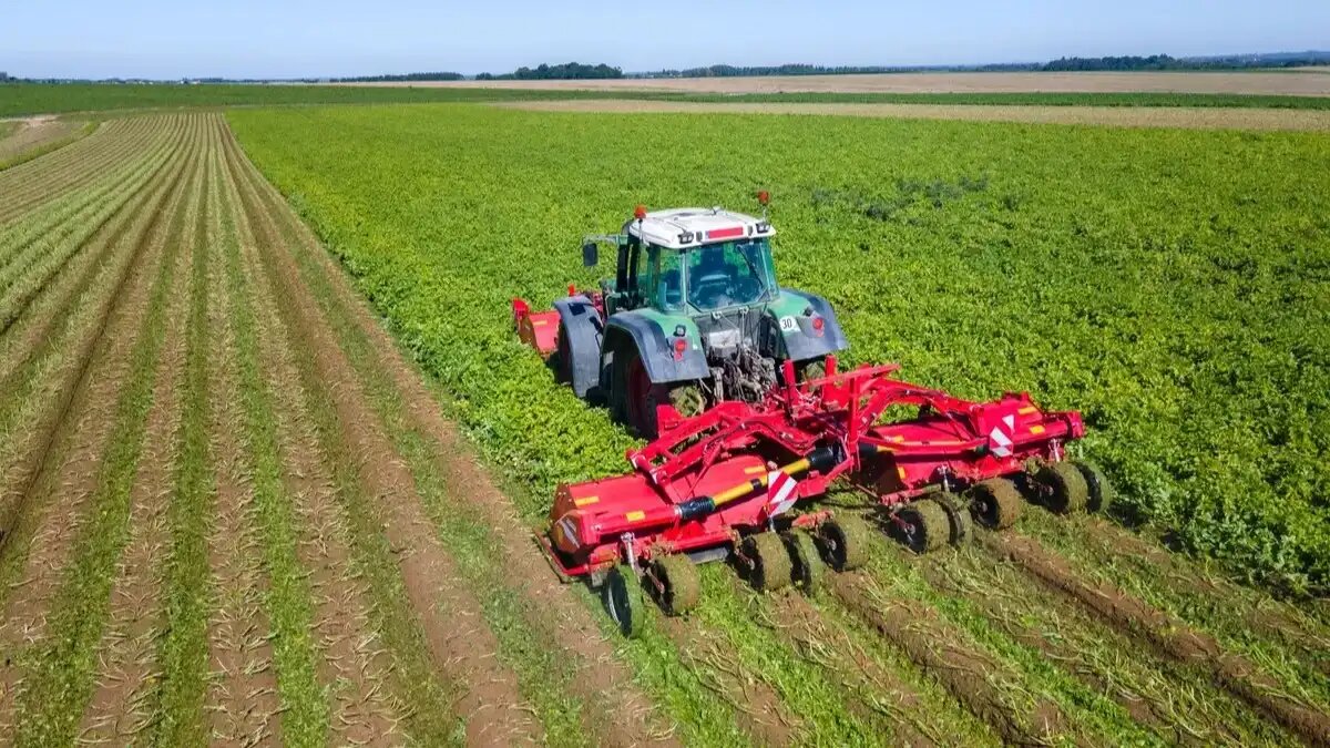 Фото: grimme.com Новое поколение ботвоудалителей GRIMME TOPPA