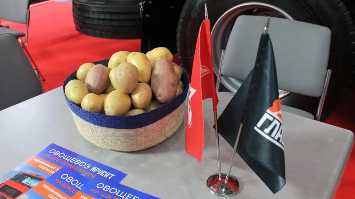 Фото: © Артём Борисов / Glavpahar.ru Развитие картофелеводства в России (фото иллюстративное)