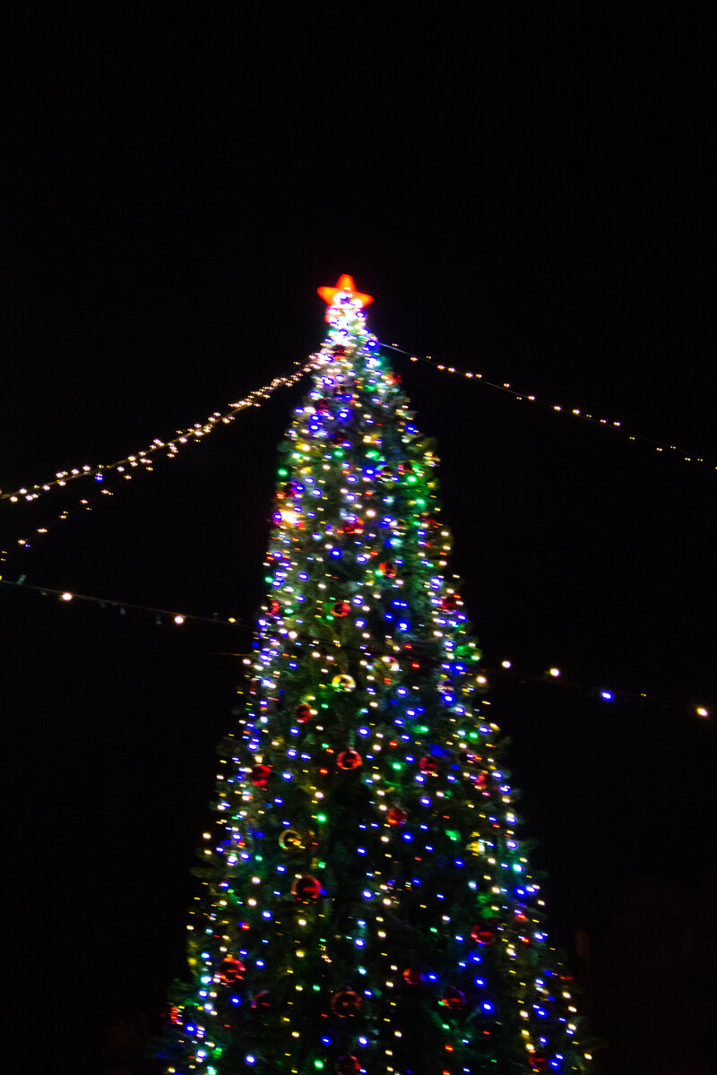 Фото автора, январь 2024, станица Бриньковская