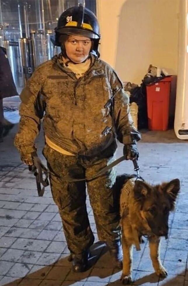 Фото из открытых источников