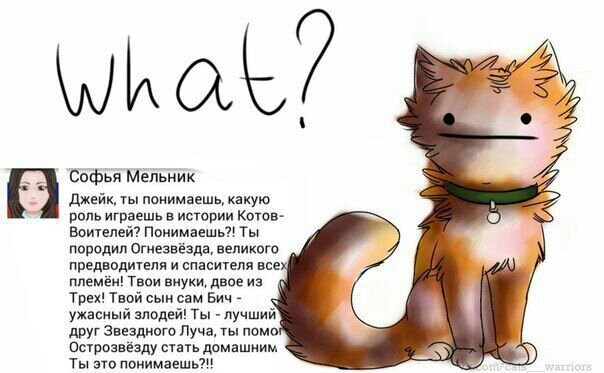Прикол КВ