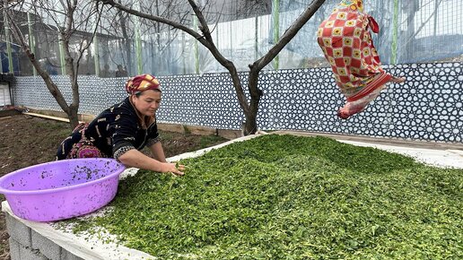 Россиянин в шоке от того,как Узбеки пожарили рыбу.Узбекистан!