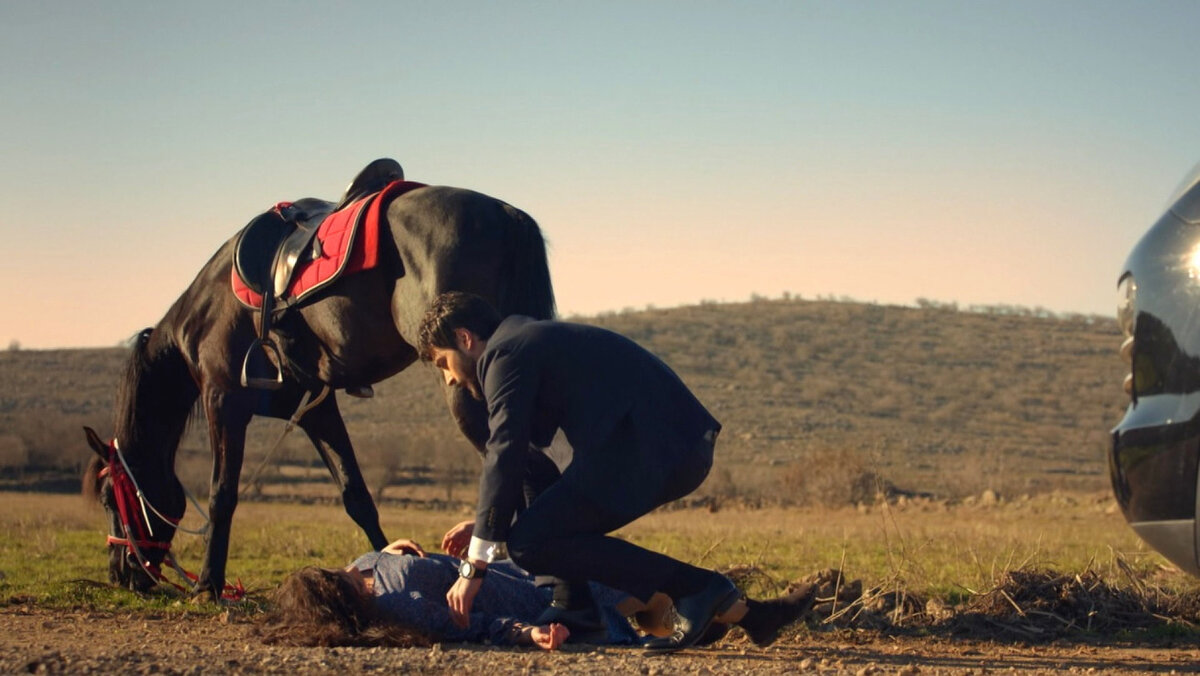 Кадр из сериала "Ветреный". Картинка из Интернета.