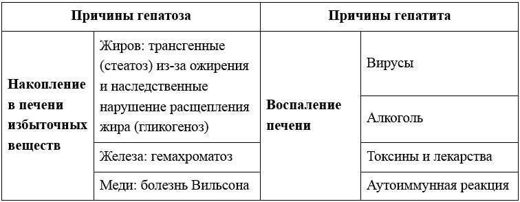 ТАБЛИЦА 1