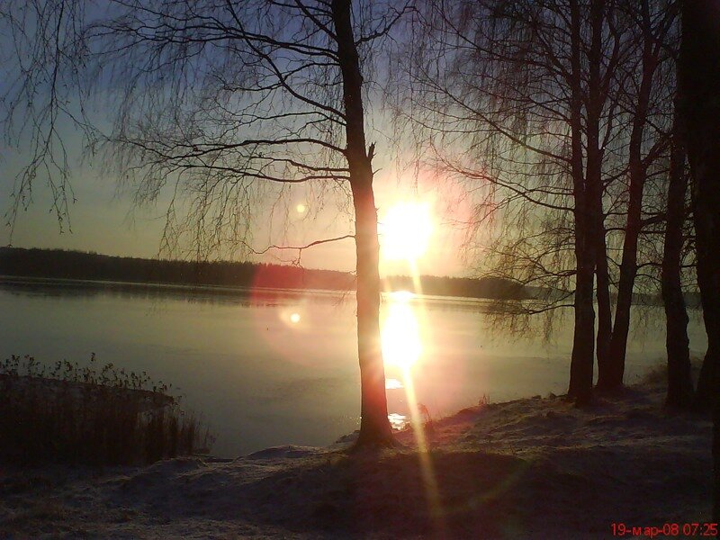 Яндекс. Открытый источник