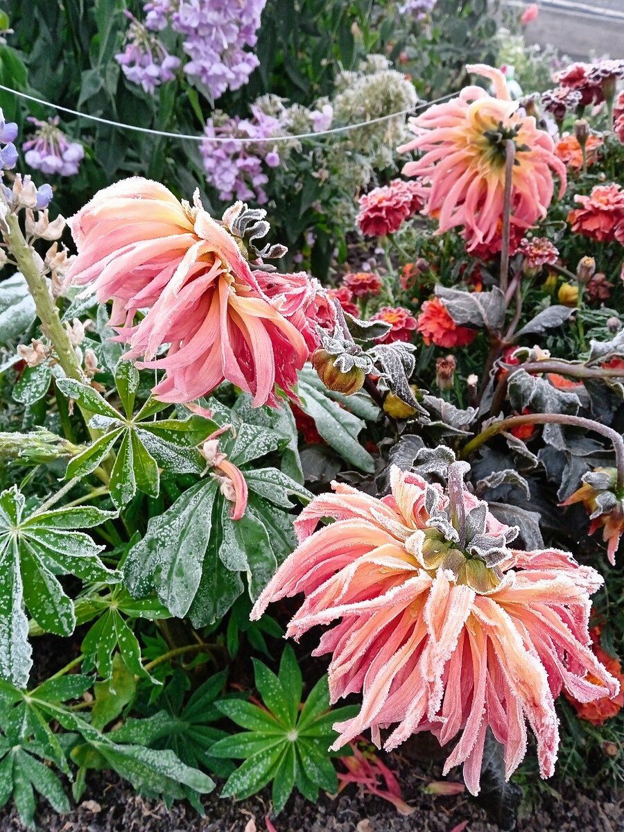 Как это было. | Зоренька. | Дзен