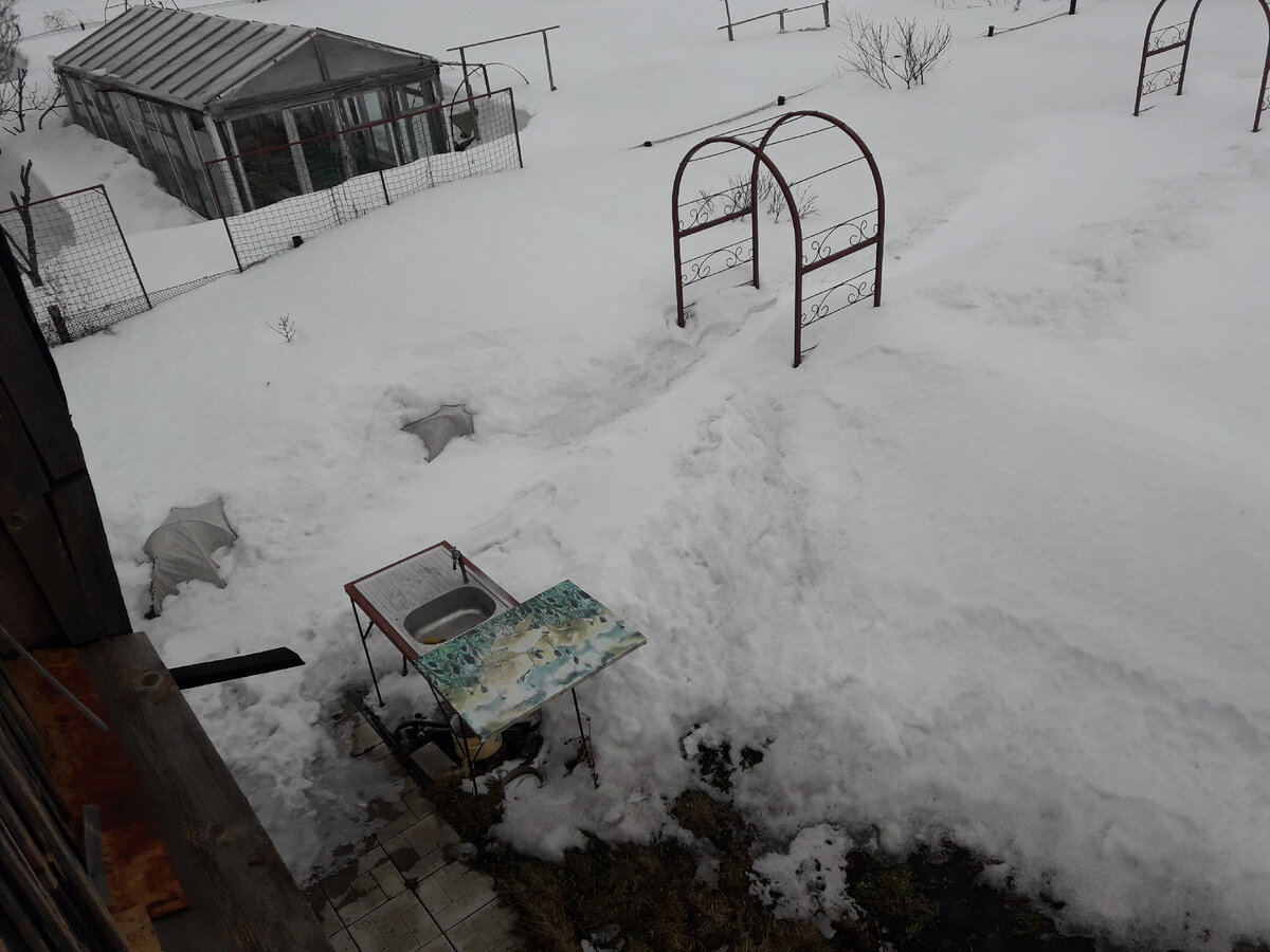 21 марта 2020 г, оголились верхушки 2-х укрытий около домика. Снега здесь всегда меньше и его часто выдувает