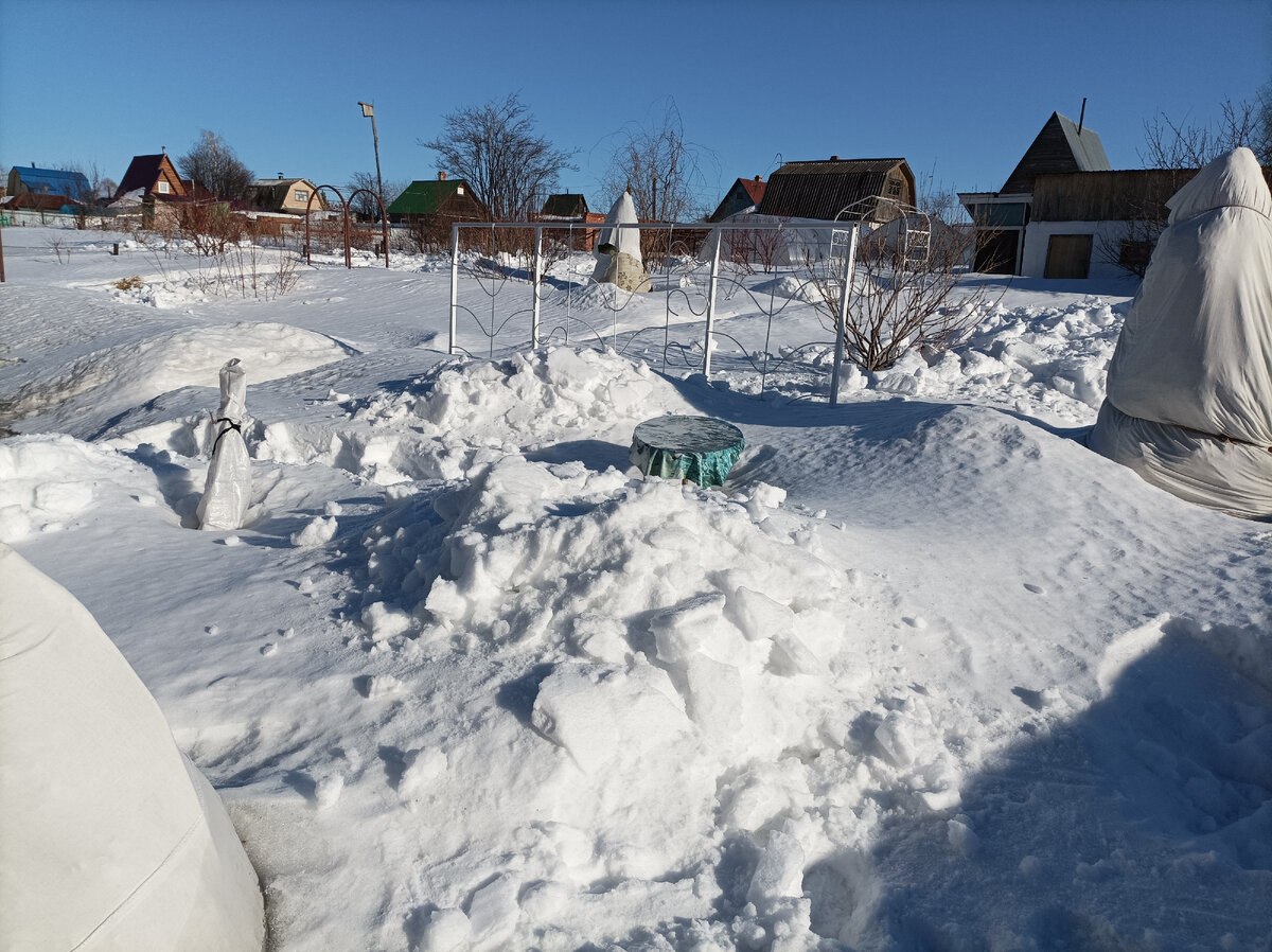 18 марта 2023 г, оголившиеся участки забросала снегом