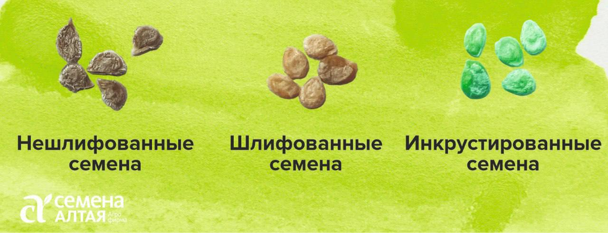 -4