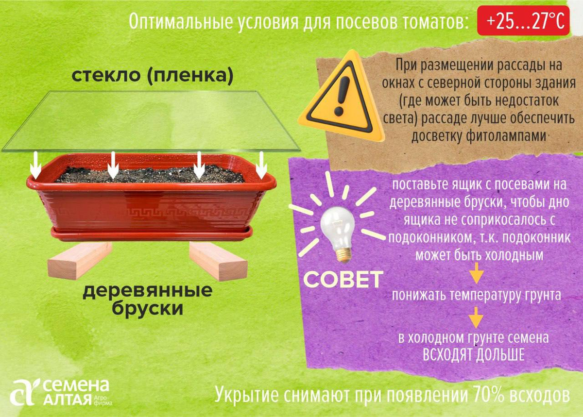 -8