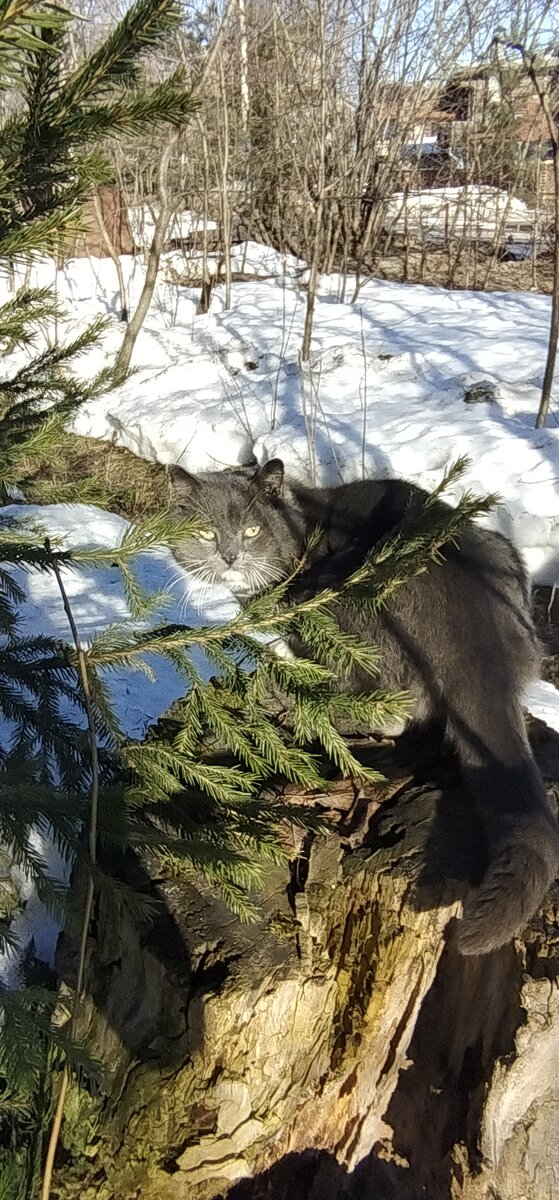Личное фото