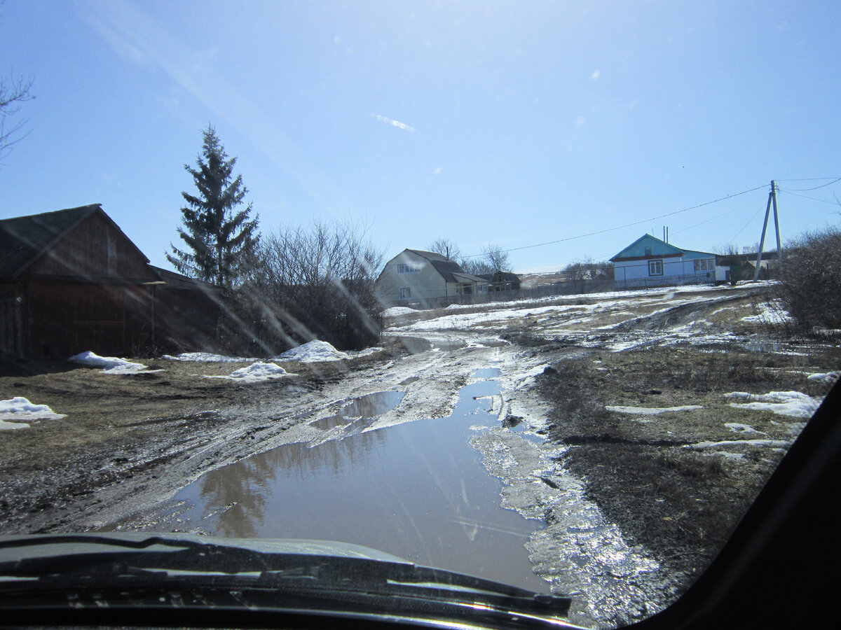 Фото автора.