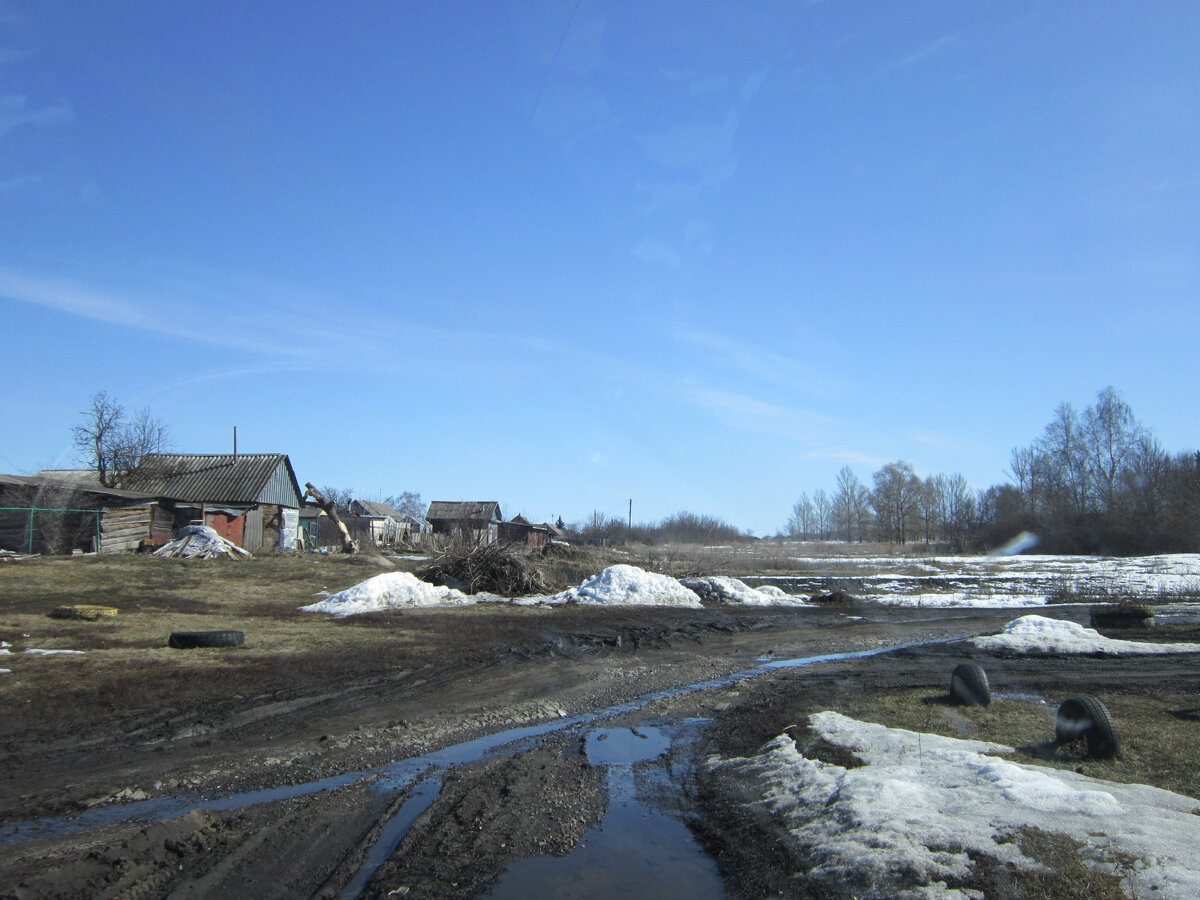 Фото автора.