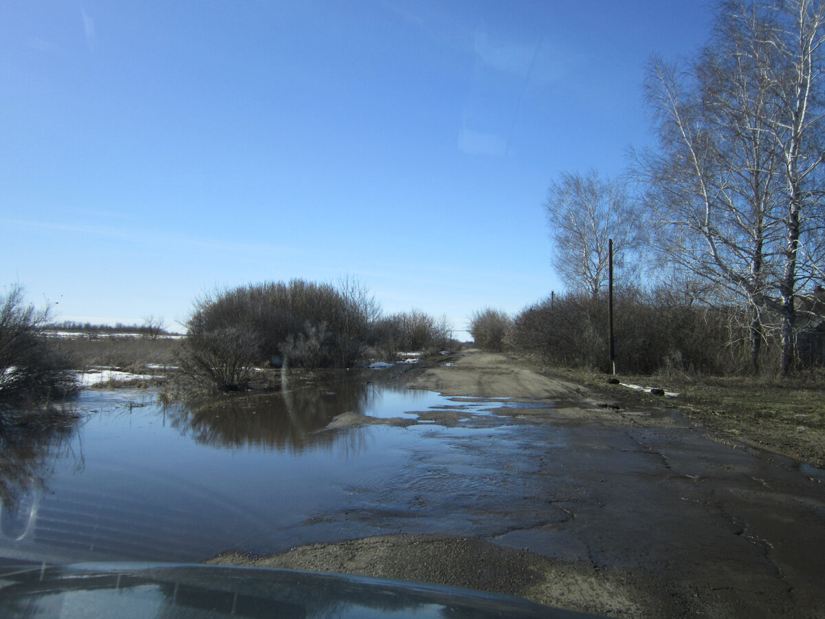 Фото автора.